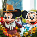 Disney Business & Pleasure