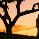 employee-spouse fringe benefits